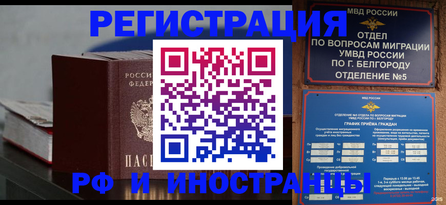 прописка 2025 в Куртамыше